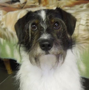 Meet your Posher, Sheri